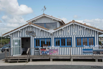 La Cabane bleue où se déroulait l'exposition